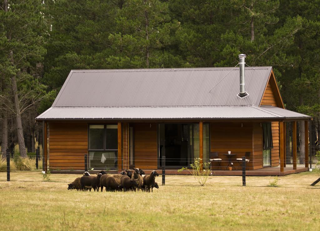 Woodbank Park Cottages Hanmer Springs Quarto foto